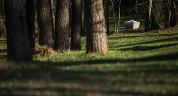 Pavasarinė kelionė po EUROPOS PARKĄ, kur menas ir gamta kartu 