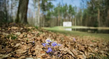 Pavasarinė kelionė po EUROPOS PARKĄ, kur menas ir gamta kartu 