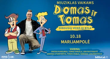 Domas ir Tomas: dingusių veikėjų byla