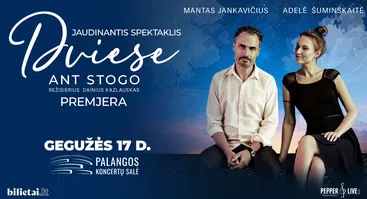 Dviese ant stogo