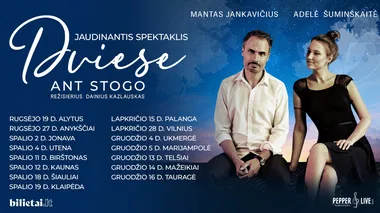 Dviese ant stogo