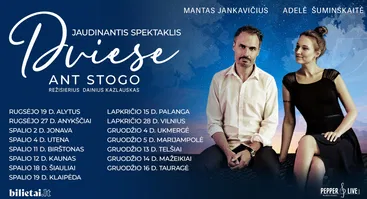Dviese ant stogo
