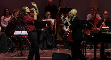 Vidas Bareikis | Grand akustinis show