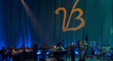 Vidas Bareikis | Grand akustinis show