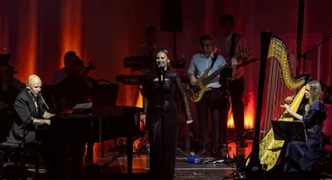 Vidas Bareikis | Grand akustinis show