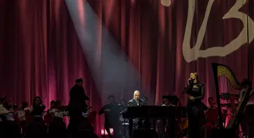 Vidas Bareikis | Grand akustinis show