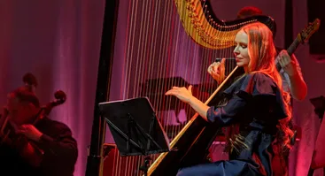 Vidas Bareikis | Grand akustinis show