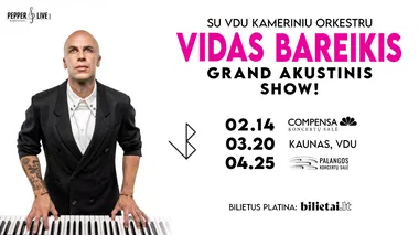 Vidas Bareikis | Grand akustinis show