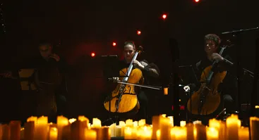 Mantas Jankavičius: Muzika žvaigždėse