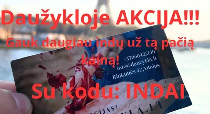 IŠSIKRAUKITE PYKČIO KAMBARYJE!