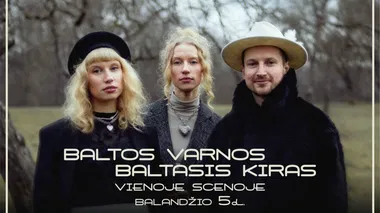 BALTOS VARNOS ir BALTASIS KIRAS vienoje scenoje