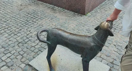 ORIENTACINĖ EKSKURSIJA - 7 KALVŲ MIESTAS