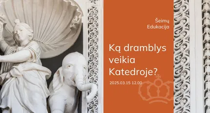 Šeimų edukacija „Ką dramblys veikia Katedroje?“