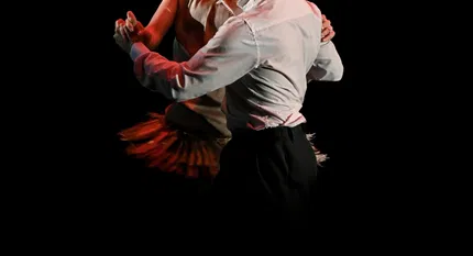 Vilniaus tango teatras - Entre la Luz y las Sombras