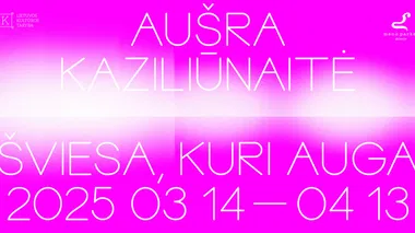 Aušros Kaziliūnaitės paroda „šviesa, kuri auga“ 