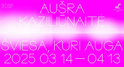 Aušros Kaziliūnaitės paroda „šviesa, kuri auga“ 