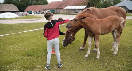 Tarptautinė vaikų / paaglių stovykla Rumšiškių Liaudies buities muziejuje (anglų kalba)