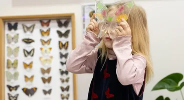 Edukacinė gyvų tropinių drugelių paroda