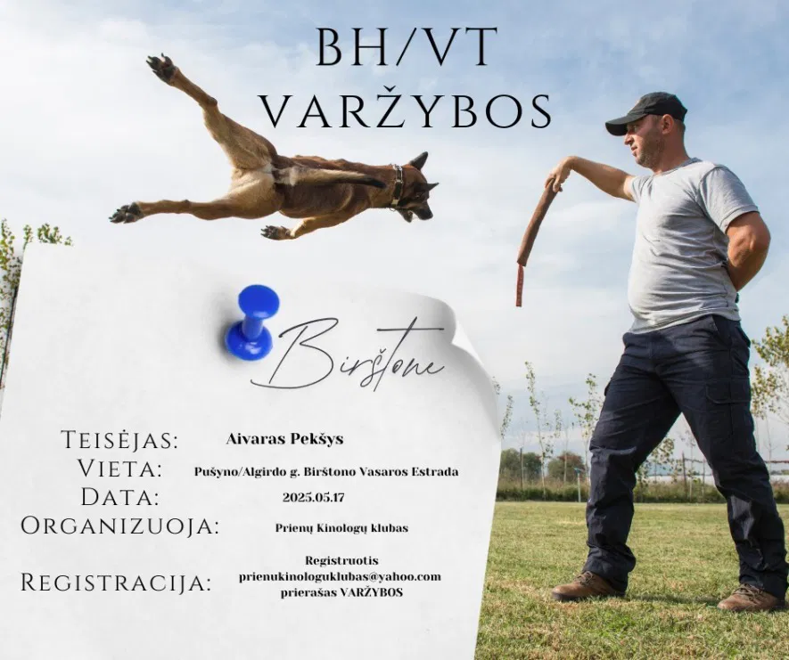 BH/VT varžybos-egzaminas Birštone. Šunų paklusnumo ir elgesio testas BH/VT varžybos-egzaminas Birštone. Šunų paklusnumo ir elgesio testas
