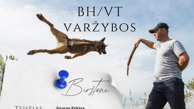 BH/VT varžybos-egzaminas Birštone. Šunų paklusnumo ir elgesio testas