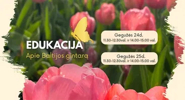 Baltijos gintaro edukacija 