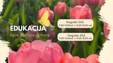 Baltijos gintaro edukacija 