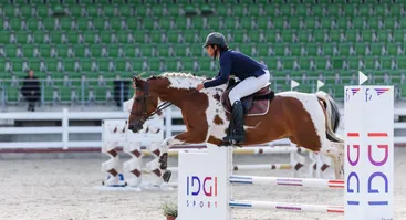 Žirgų konkūrų varžybos | Harmony Park taurė LTU-3*