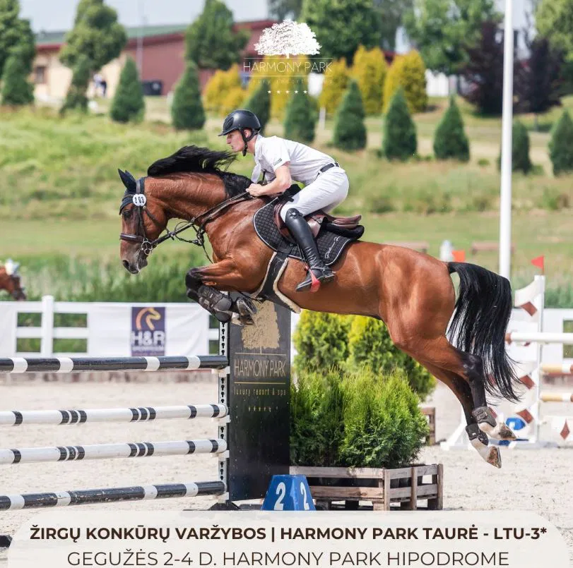 Žirgų konkūrų varžybos | Harmony Park taurė LTU-3* Žirgų konkūrų varžybos | Harmony Park taurė LTU-3*