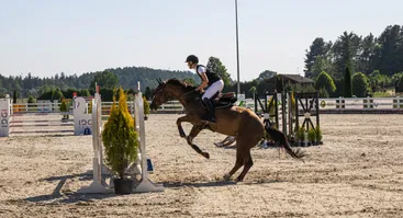 Žirgų konkūrų varžybos | Harmony Park taurė LTU-3*