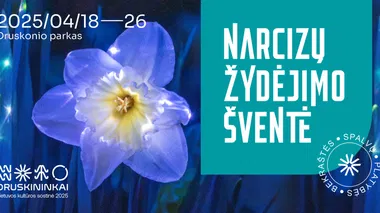 Narcizų žydėjimo šventė Druskininkuose