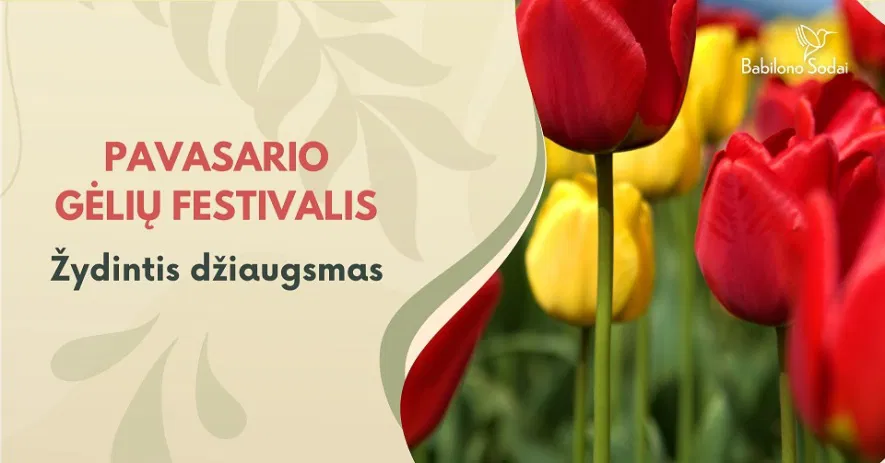 Pavasario gėlių festivalis Pavasario gėlių festivalis