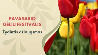 Pavasario gėlių festivalis "Žydintis džiaugsmas"