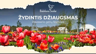Pavasario gėlių festivalis "Žydintis džiaugsmas"