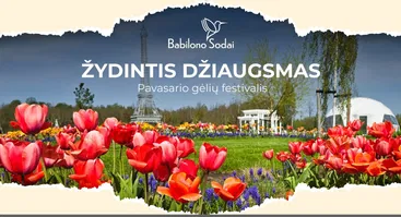 Pavasario gėlių festivalis "Žydintis džiaugsmas"