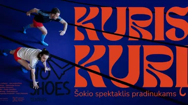 Šokio spektaklis pradinukams 