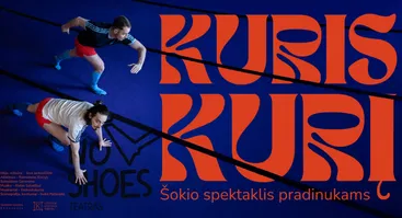 Šokio spektaklis pradinukams 