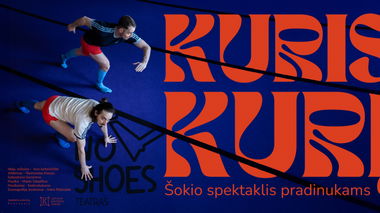 Šokio spektaklis pradinukams 