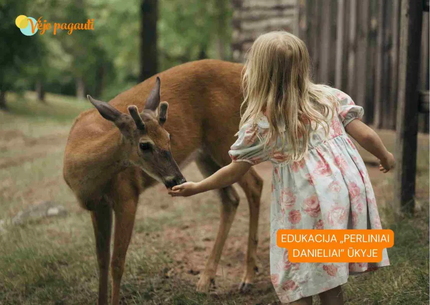 Šok į vasarą! Vaikų dienos stovykla Kaune Šok į vasarą! Vaikų dienos stovykla Kaune