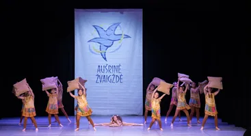  XVIII tarptautinio šokio festivalio-konkurso „Aušrinė žvaigždė“ II konkurso dalis. Šiuolaikinis šokis 