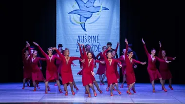  XVIII tarptautinio šokio festivalio-konkurso „Aušrinė žvaigždė“ II konkurso dalies 2 dalis (25 m. ir vyresnio amžiaus grupė). Klasikinis, liaudiškas ir šiuolaikinis šokis 