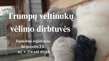 Trumpų veltinukų vėlimo dirbtuvės