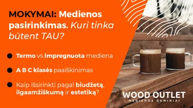 MOKYMAI Medienos pasirinkimas: kuri tinka būtent TAU?