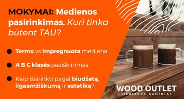 MOKYMAI Medienos pasirinkimas: kuri tinka būtent TAU?