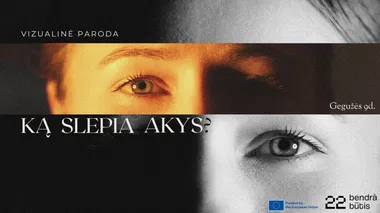 Vizualinė paroda - KĄ SLEPIA AKYS?