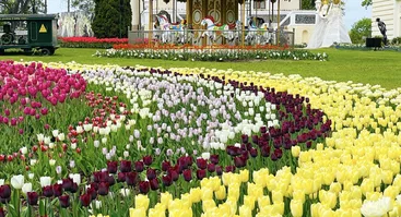 Tulpių ir pavasario gėlių festivalis „Pavasario simfonija“ 
