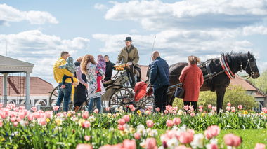 Tulpių ir pavasario gėlių festivalis „Pavasario simfonija“ 