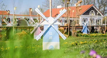 Tulpių ir pavasario gėlių festivalis „Pavasario simfonija“ 
