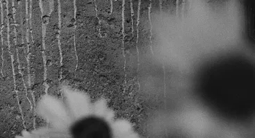 YRÀ IR ỸRA I Edgaro Cickevičiaus fotografijos paroda