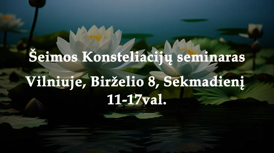 Šeimos Konsteliacijos Šeimos Konsteliacijos