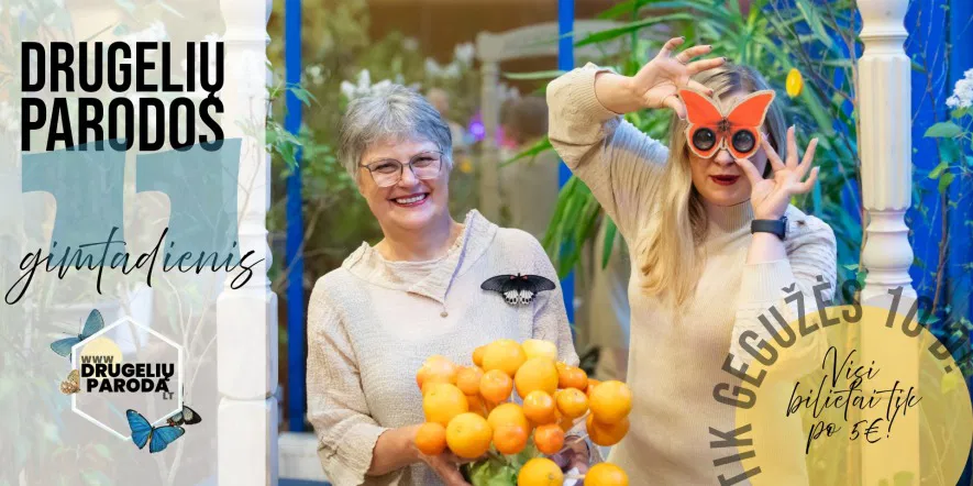 Gyvų tropinių drugelių parodos 11 gimtadienis! Gyvų tropinių drugelių parodos 11 gimtadienis!
